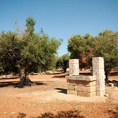 Petra Viva Villa